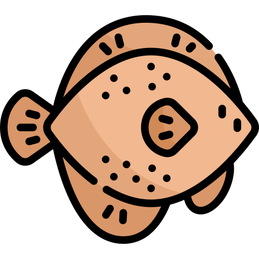 Flounder Kawaii Lineal color icon