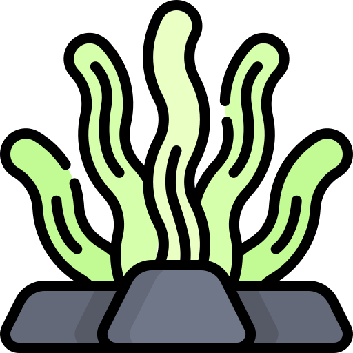 alga marina Kawaii Lineal color icona