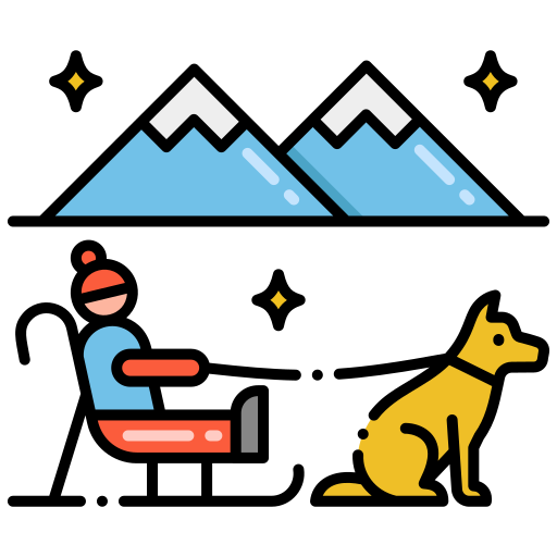 Sled Flaticons Lineal Color icon
