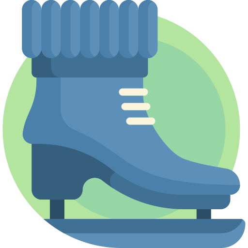 Ice skate Detailed Flat Circular Flat icon