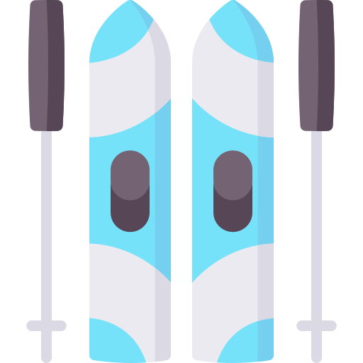 스키 Special Flat icon