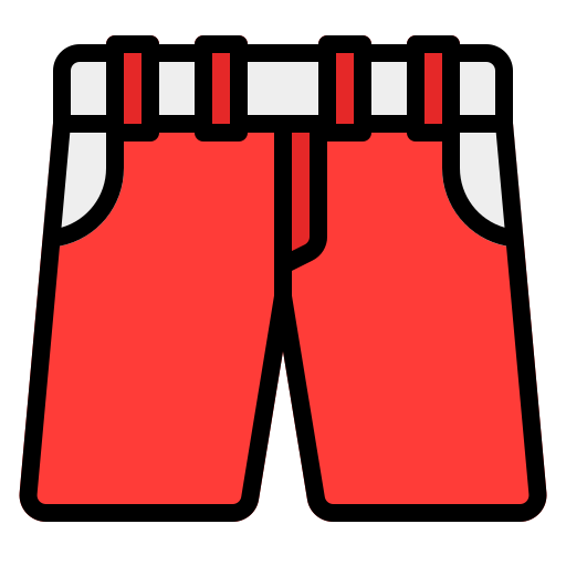 Shorts Generic Outline Color icon