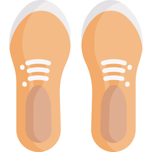 zapatos Special Flat icono