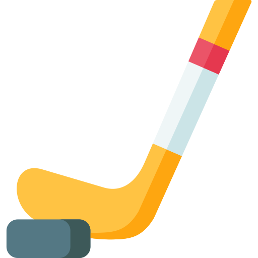 Ice hockey Special Flat icon