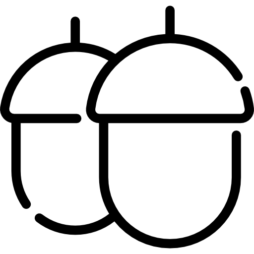 ドングリ Special Lineal icon