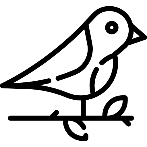 鳥 Special Lineal icon