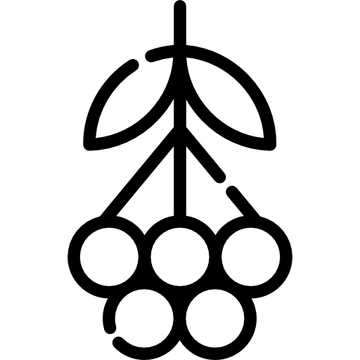 eberesche Special Lineal icon