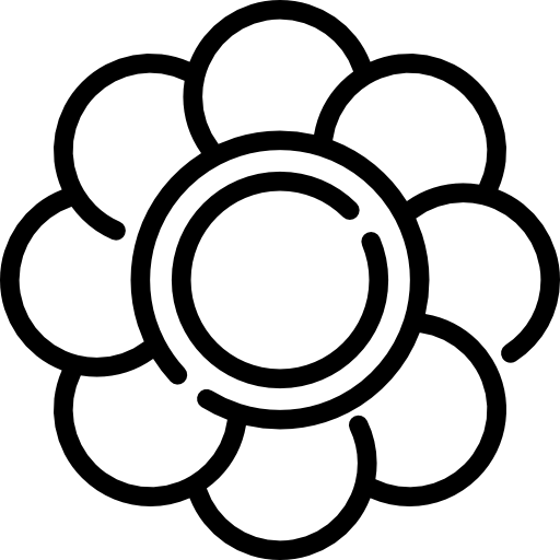 Flower Special Lineal icon