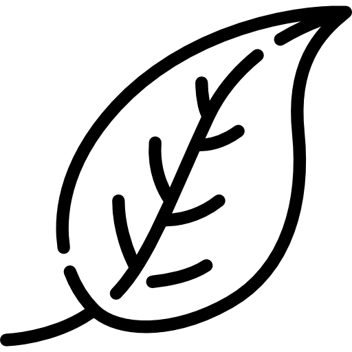 liść Special Lineal ikona