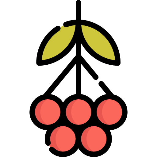 ナナカマド Special Lineal color icon
