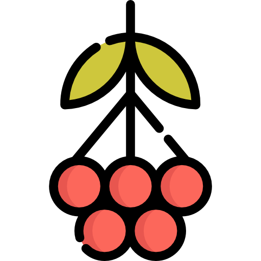 rowan Special Lineal color icona