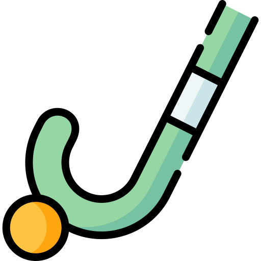 Hockey stick Special Lineal color icon