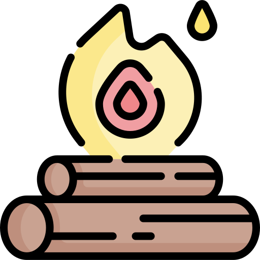 Bonfire Special Lineal color icon