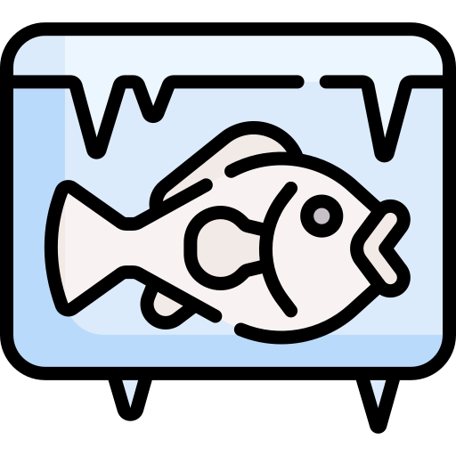 물고기 Special Lineal color icon