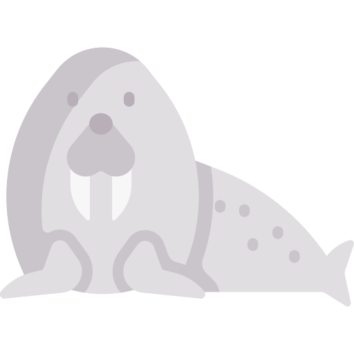 Walrus Special Flat icon