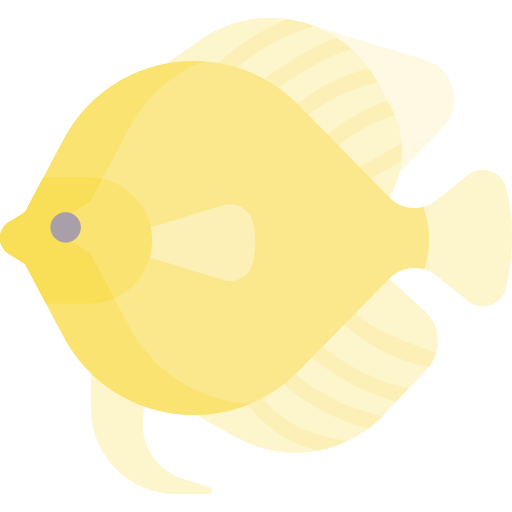 Angelfish Special Flat icon