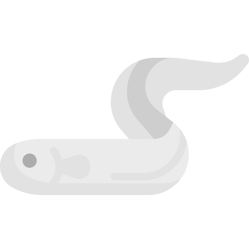 Eel Special Flat icon