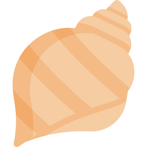 Conch shell Special Flat icon