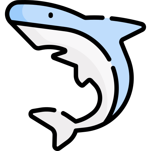 鮫 Special Lineal color icon