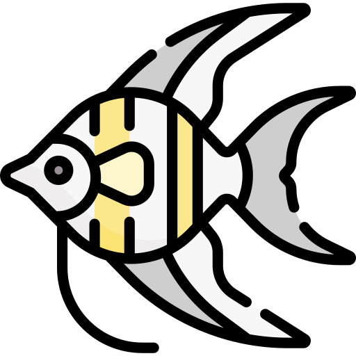 Angelfish Special Lineal color icon