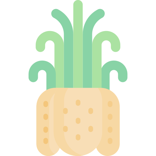 Sea anemone Special Flat icon