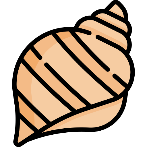 caracola Special Lineal color icono