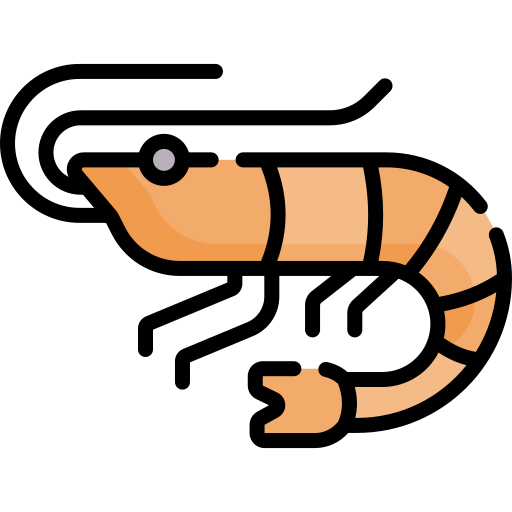 Shrimp Special Lineal color icon