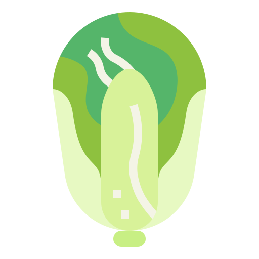 Cabbage Smalllikeart Flat icon
