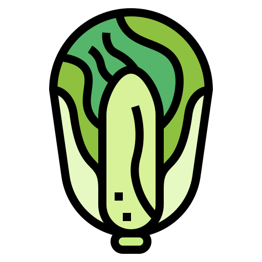 Cabbage Smalllikeart Lineal Color icon