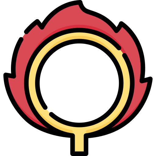 anillo de fuego Special Lineal color icono