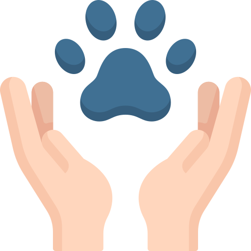 Animal care Special Flat icon