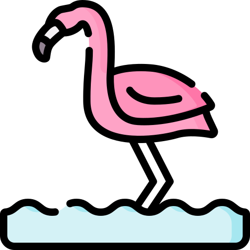 flamingo Special Lineal color icon