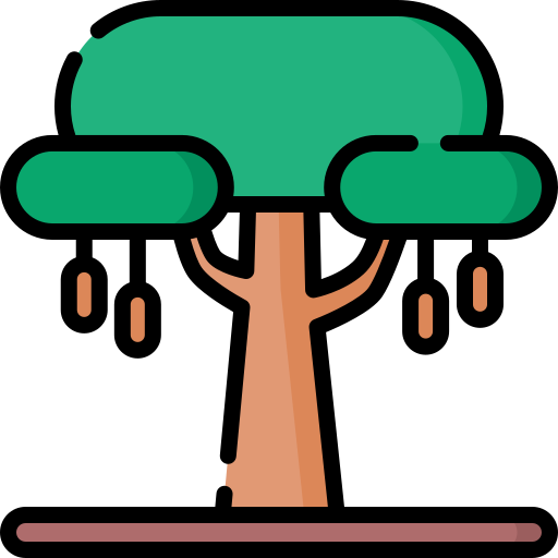 baobab Special Lineal color icono