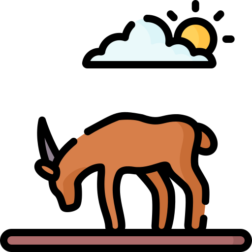 Антилопа Special Lineal color иконка