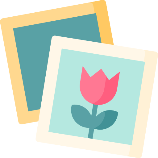 Image Special Flat icon