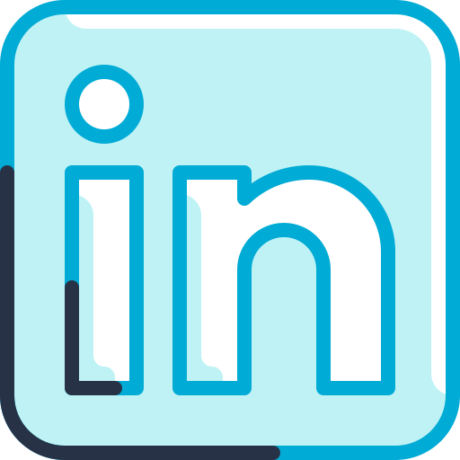Linkedin Special Meteor Lineal color icon