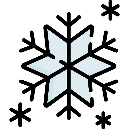 płatki śniegu Special Lineal color ikona
