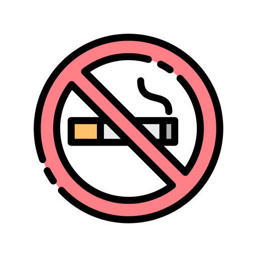 vietato fumare Good Ware Lineal Color icona