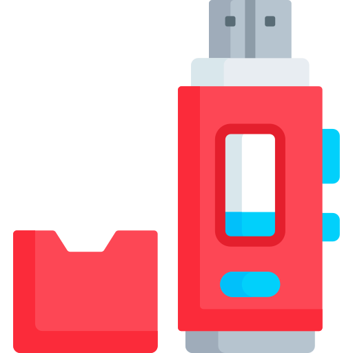 Flash disk Special Flat icon