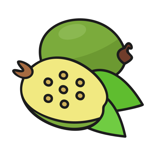 feijoa Generic Outline Color icon