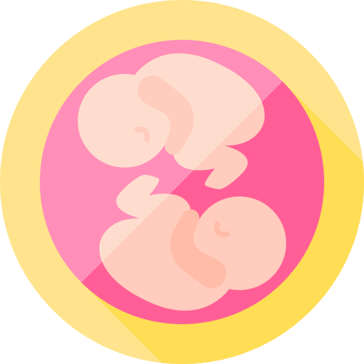zwillinge Flat Circular Flat icon