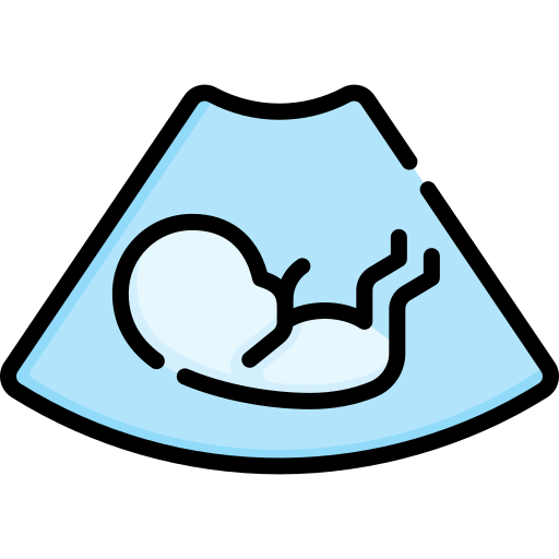Ultrasound Special Lineal color icon