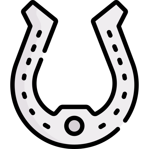 Horseshoe Special Lineal color icon