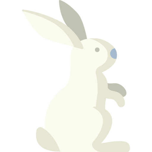 Hare Special Flat icon