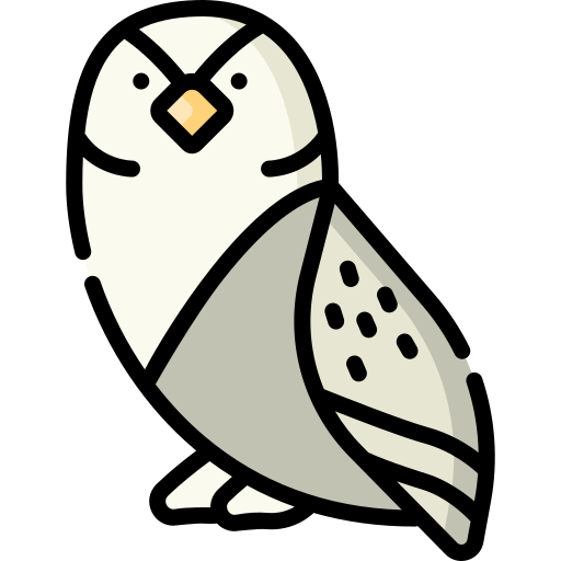 Owl Special Lineal color icon