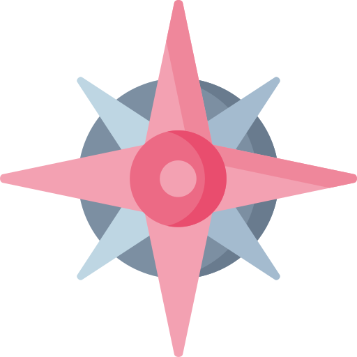 rosa de los vientos Special Flat icono