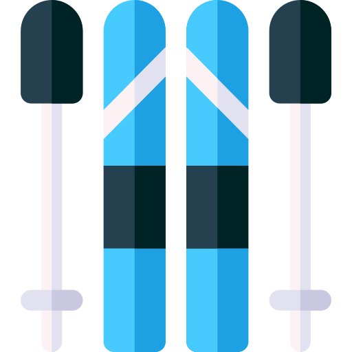 Ski Basic Rounded Flat icon