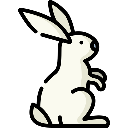 野ウサギ Special Lineal color icon