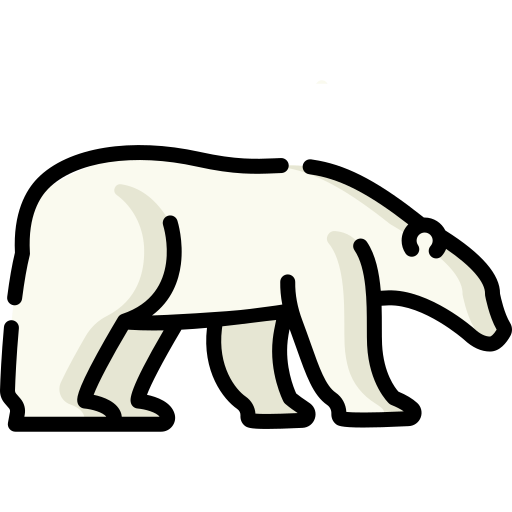 urso Special Lineal color Ícone