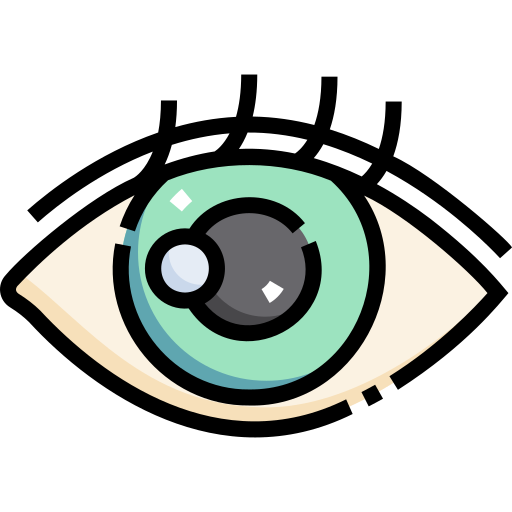 Eye Detailed Straight Lineal color icon